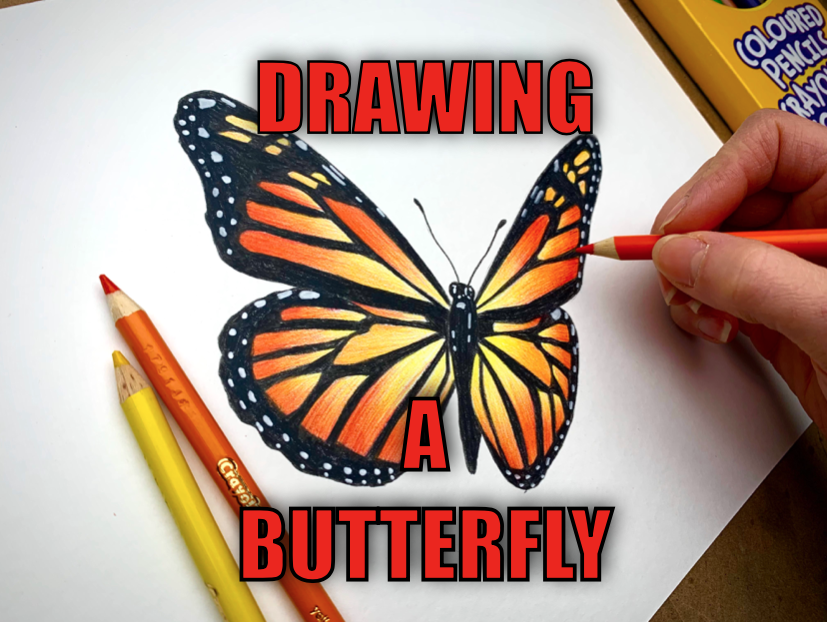 Butterfly Coloring Pages: 15 Free Pictures for Kids!